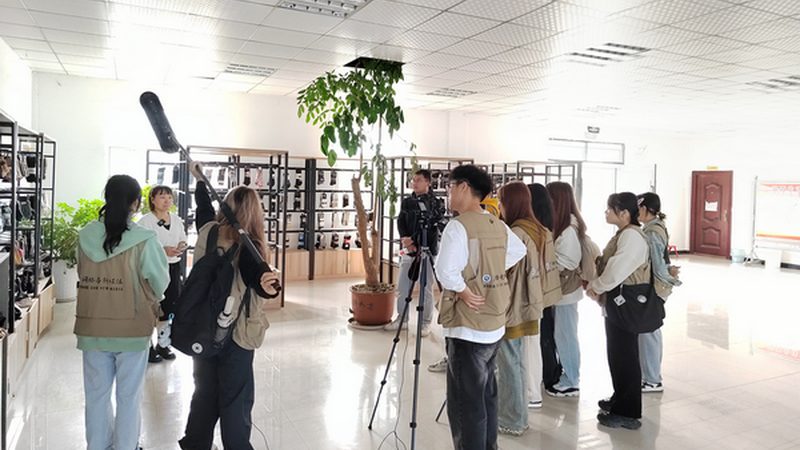 三维动画软件：揭秘其优缺点，助你选对工具